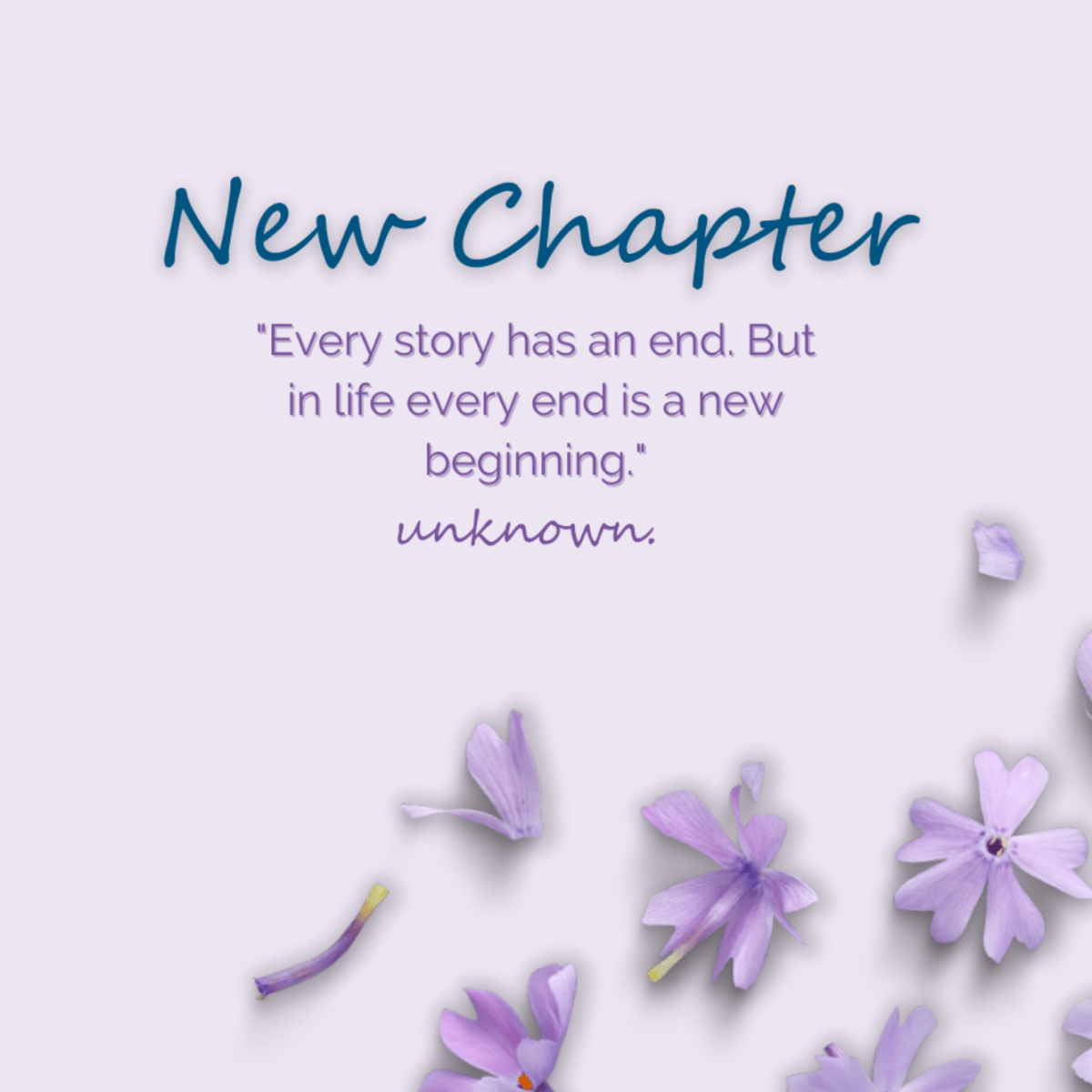 An Even Newer&nbsp;Chapter
