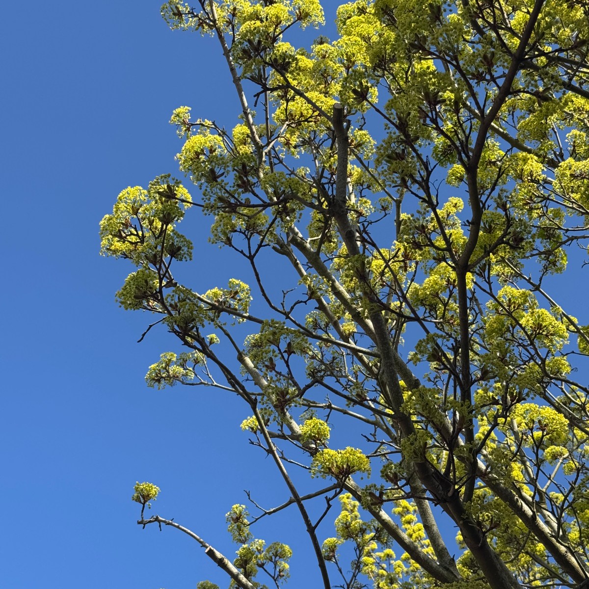 Favourite Season –&nbsp;Spring